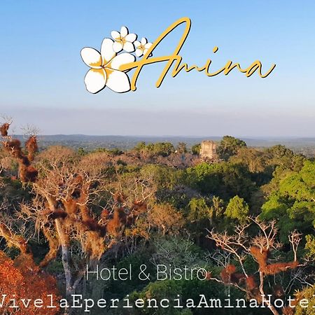 Amina Inn Флорес Экстерьер фото
